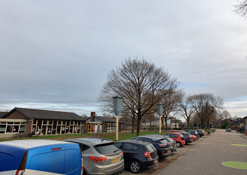 Vleermuizen kasten bij st. Lucia school