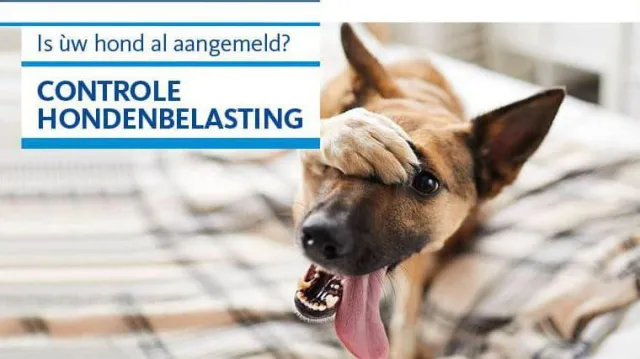 Controle hondenbelasting